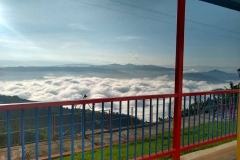 Paisaje cultural cafetero