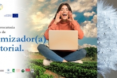 separador-paginas-web