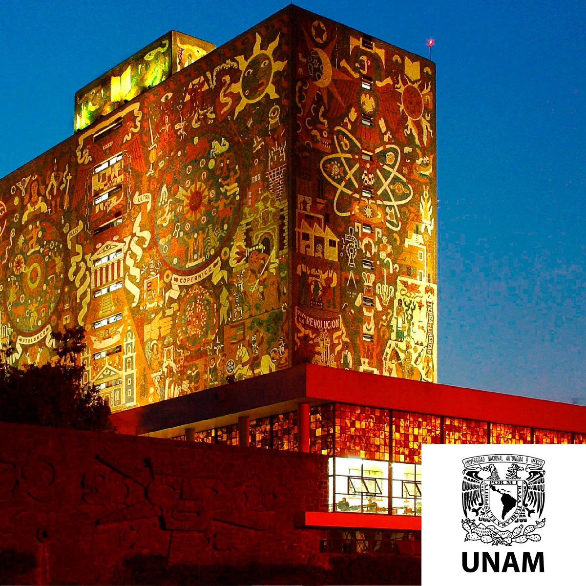 Universidad Nacional Autónoma de México (UNAM)