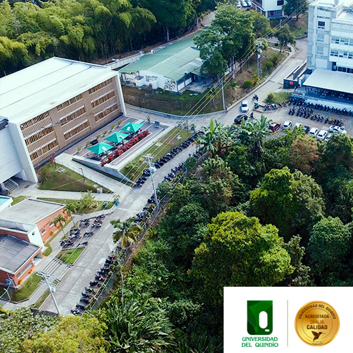 Universidad del Quindio (Uniquindio)